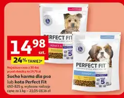 Auchan Karma dla psa junior 1+ Perfect Fit oferta