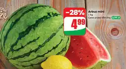 Dino Arbuz mini oferta