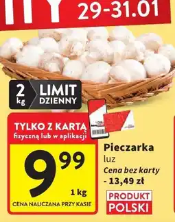Intermarche Pieczarka oferta