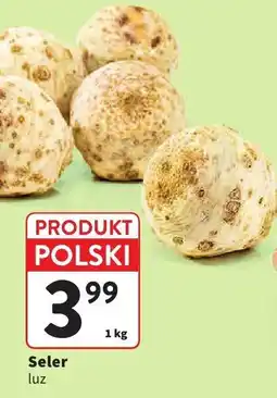 Intermarche Seler luz oferta