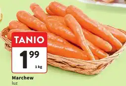 Intermarche Marchew luz oferta