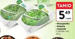 Intermarche Roszponka Z SADÓW I PÓL oferta