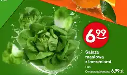 Żabka Sałata masłowa z korzeniami oferta
