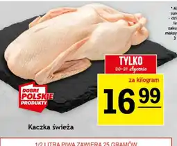 Gram Market Kaczka świeża oferta