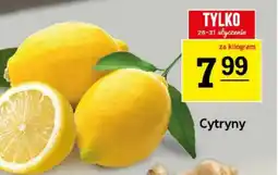 Gram Market Cytryny oferta