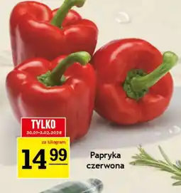 Gram Market Papryka czerwona oferta