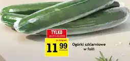 Gram Market Ogórki szklarniowe w folii oferta