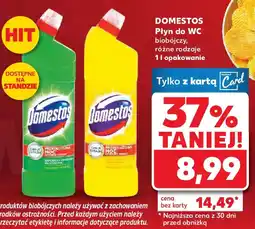 Kaufland Domestos Płyn do WC oferta