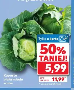 Kaufland Kapusta biała młoda oferta