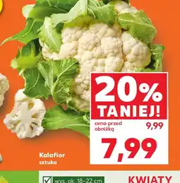 Kaufland Kalafior oferta
