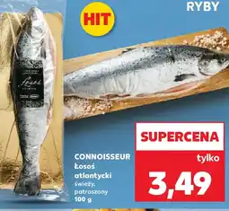 Kaufland Connoisseur Losoś atlantycki oferta