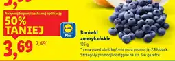 Lidl Borówki amerykańskie oferta