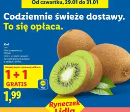 Lidl Owoce kiwi oferta