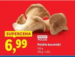 Lidl Boczniaki Polskie boczniaki oferta