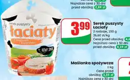 Dino Serek puszysty łaciaty oferta