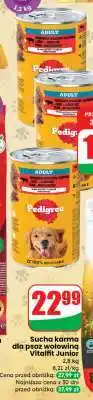 Dino Sucha karma dla psów wołowina Vitalift Junior oferta
