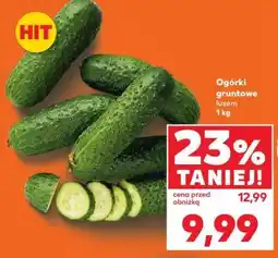 Kaufland Ogórki gruntowe luzem 1 kg oferta