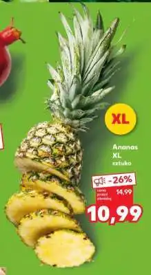 Kaufland Ananas XL sztuka oferta
