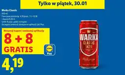 Lidl Warka Classic oferta