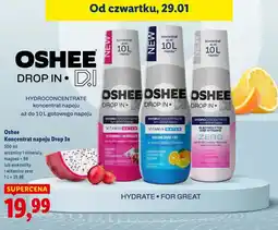 Lidl Oshee Koncentrat napoju Drop In oferta