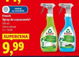 Lidl Frosch Spray do czyszczenia oferta