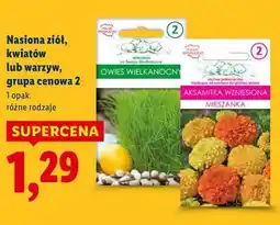Lidl Nasiona ziół, kwiatów lub warzyw, grupa cenowa 2 oferta