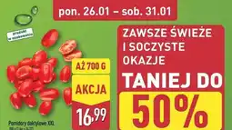 ALDI Pomidory daktylowe XXL (700g) oferta