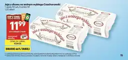 Delikatesy Centrum Jaja z chowu na wolnym wybiegu Czachorowski 10 szt. rozmiar M oferta