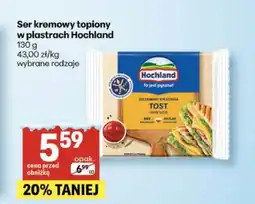 Delikatesy Centrum Ser kremowy topiony w plastrach Hochland oferta