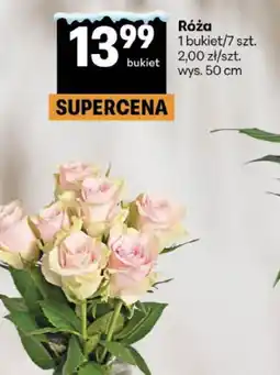 Delikatesy Centrum Róża oferta