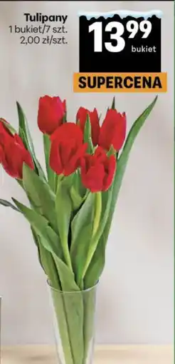 Delikatesy Centrum Tulipany (Bukiet 7 szt.) oferta