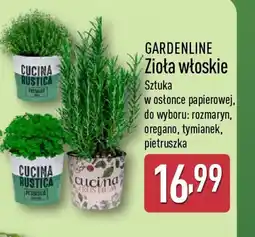 ALDI Gardenline Zioła włoskie oferta