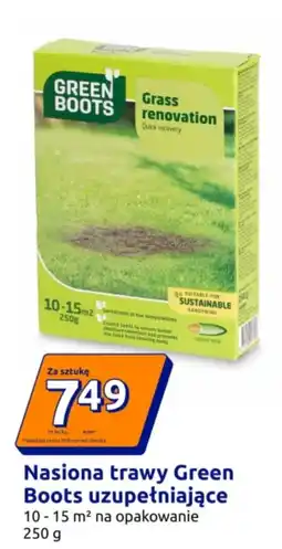 Action Nasiona trawy Green Boots oferta