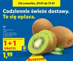 Lidl Owoce kiwi 1+1 GRATIS oferta