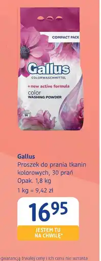 dm drogerie markt Proszek do prania Gallus oferta