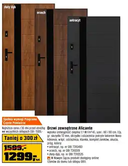 OBI Drzwi zewnętrzne Orzech oferta