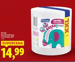Lidl Ręcznik papierowy Floralys oferta