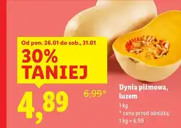Lidl Dynia Kena oferta