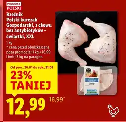 Lidl Kurczak Rzeźnik oferta
