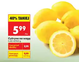 Biedronka Cytryna oferta