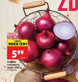 Biedronka Cebula czerwona Polski oferta