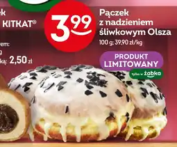 Żabka Pączek Żabka oferta