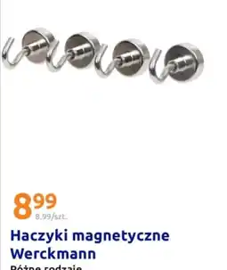 Action Werckmann Haczyki magnetyczne oferta