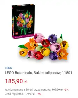 Smyk LEGO Botanicals, Bukiet tulipanów, 11501 oferta