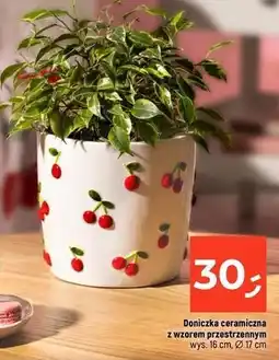Dealz Doniczka ceramiczna 16 cm oferta