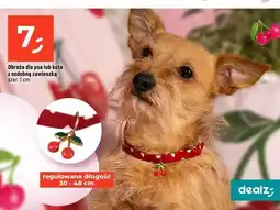 Dealz Obroża dla kota z ozdobną zawieszką oferta