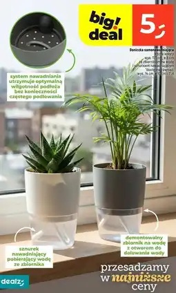 Dealz Doniczka samonawadniająca śr. 10 cm oferta