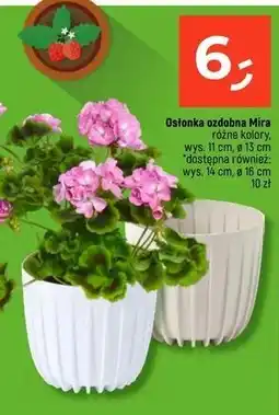 Dealz Osłonka ozdobna mira śr. 16 cm oferta