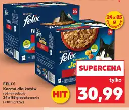 Kaufland Felix Karma dla kotów oferta