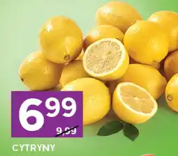 Stokrotka Express Cytryna oferta